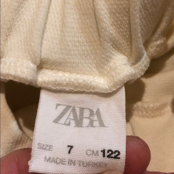 Zara belted jersey knit pant - Picture 6 of 9